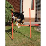 Dog Trainer agility prekážky pre psov balenie 1 sada