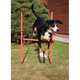 Dog Trainer agility prekážky pre psov balenie 1 sada